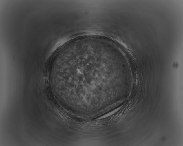 X0000095681255200801151118
