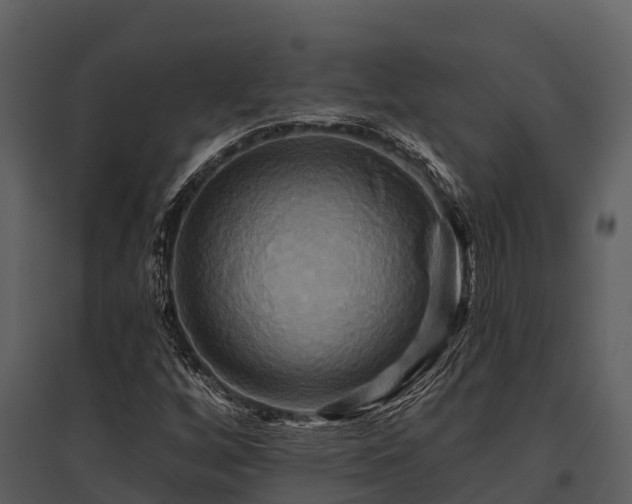 X0000095681256200801151118