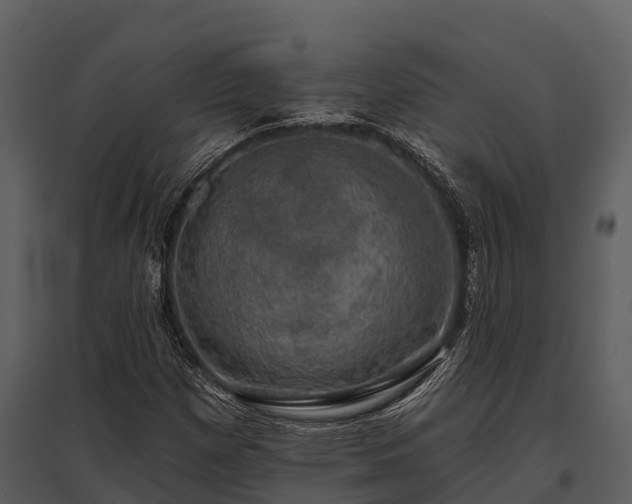 X0000095681257200801151118