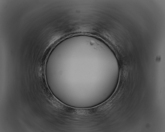 X0000095681258200801151118