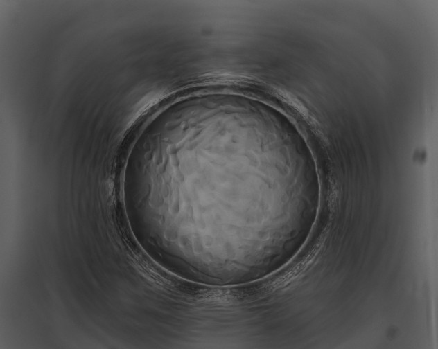 X0000095681259200801151118