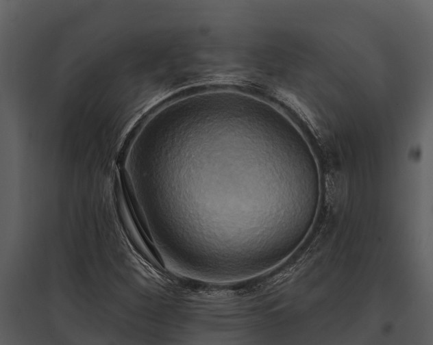 X0000095681260200801151118