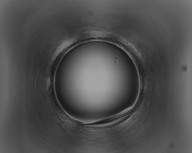 X0000095681261200801151118