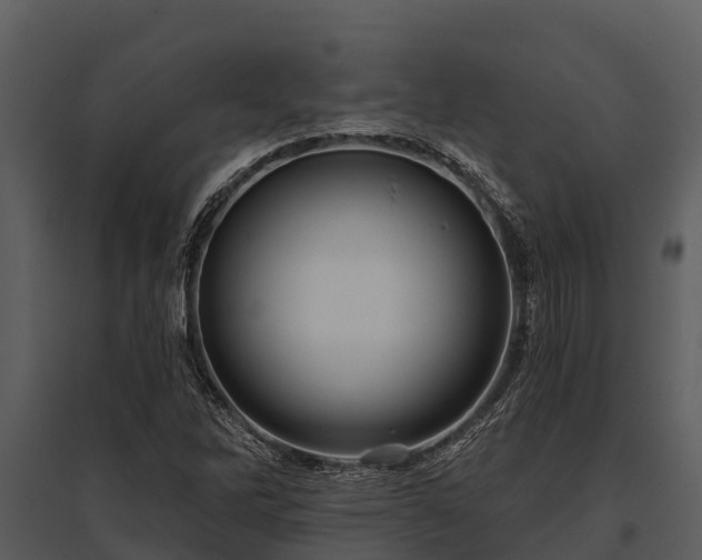 X0000095681262200801151118
