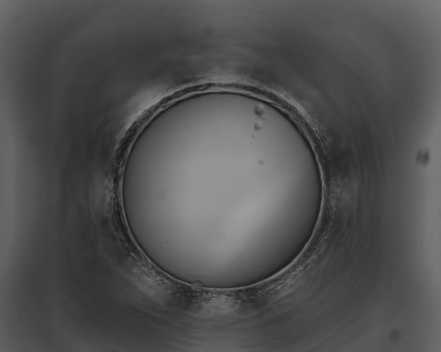 X0000095681263200801151118