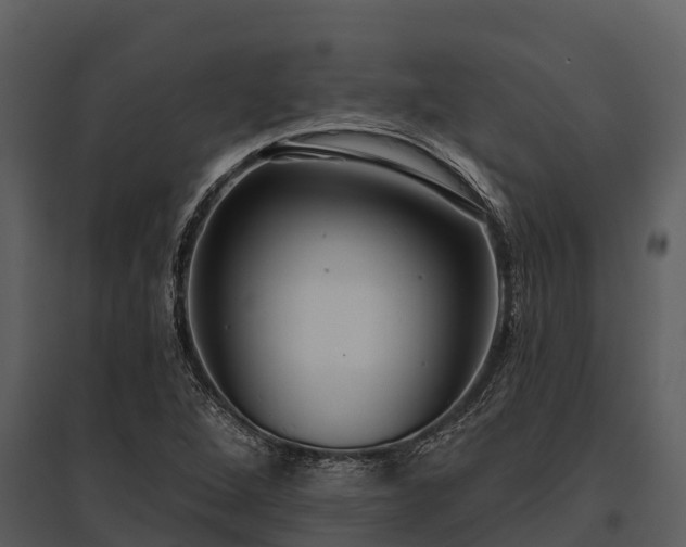 X0000095681264200801151118