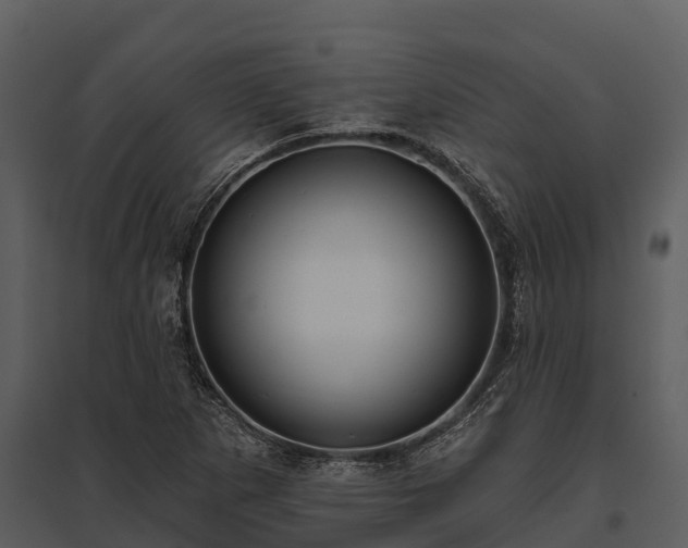 X0000095681265200801151118