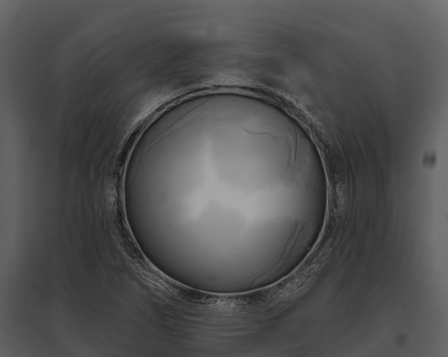 X0000095681266200801151118