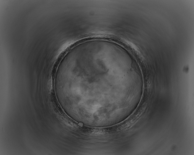 X0000095681267200801151118