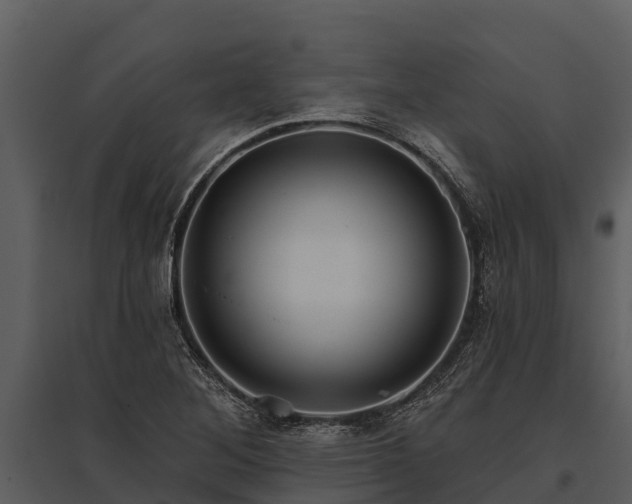 X0000095681268200801151118