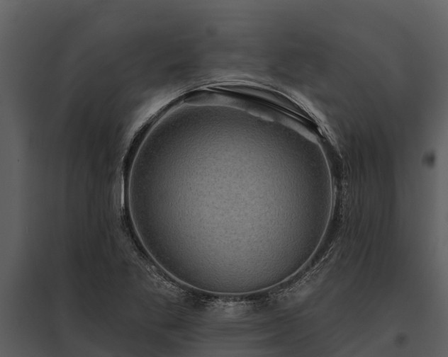 X0000095681269200801151118