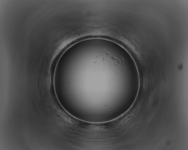 X0000095681270200801151118