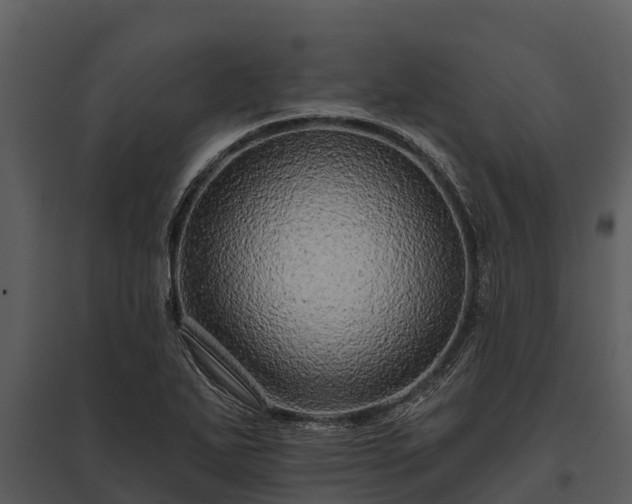 X0000095681271200801151118