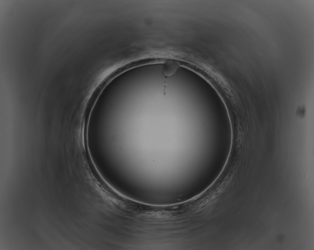 X0000095681272200801151118