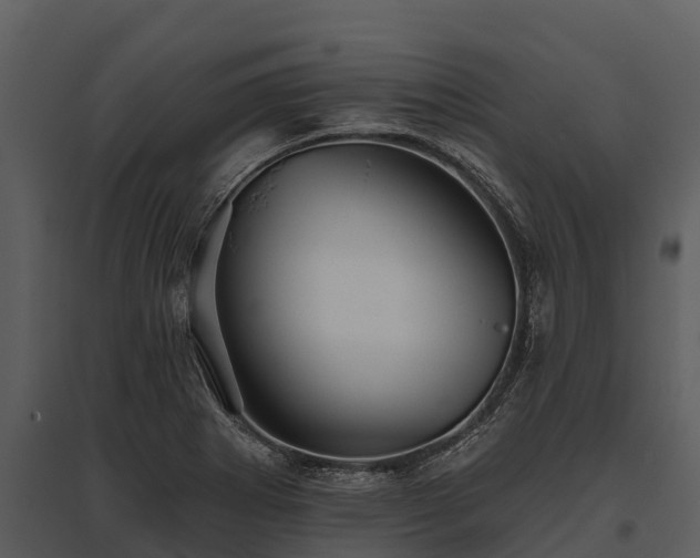 X0000095681273200801151118