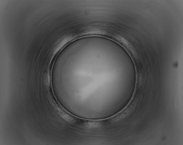 X0000095681274200801151118