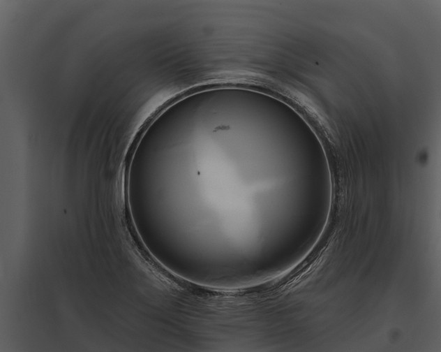 X0000095681275200801151118