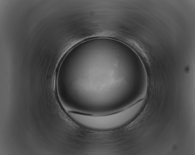 X0000095681276200801151117
