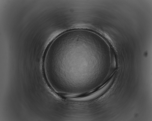 X0000095681277200801151117