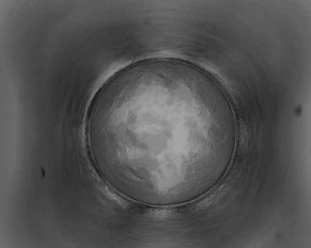 X0000095681278200801151117