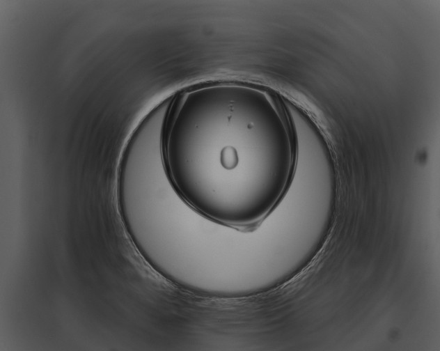 X0000095681280200801151117