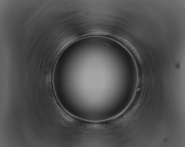 X0000095681281200801151117