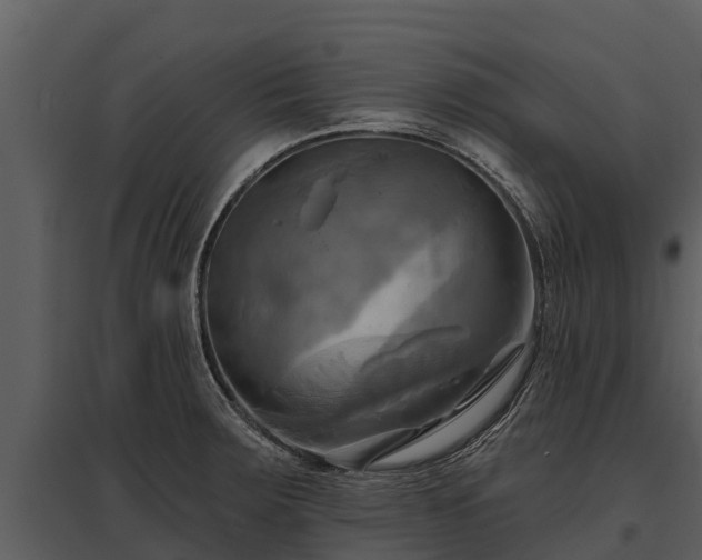 X0000095681283200801151117