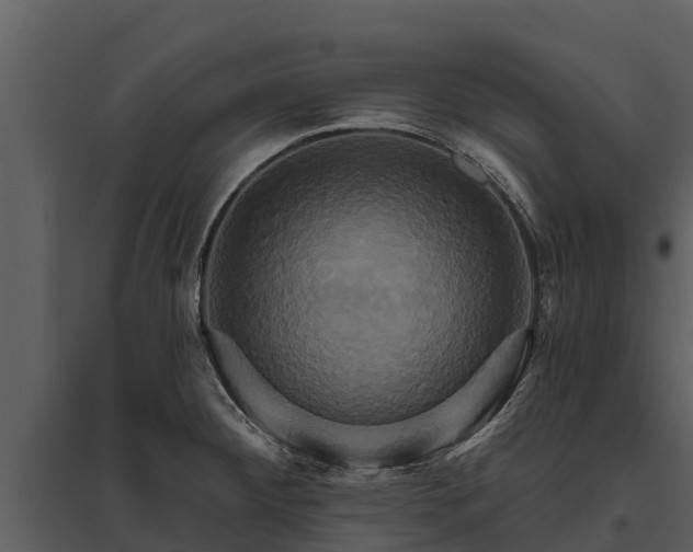 X0000095681284200801151117