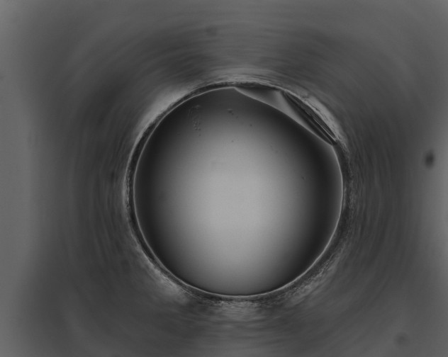 X0000095681285200801151117