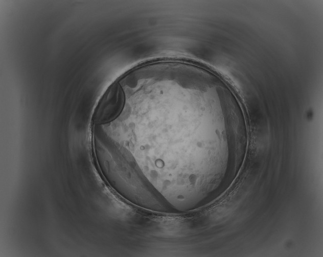 X0000095681287200801151117