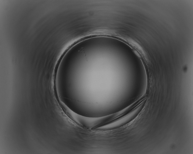X0000095681288200801151117