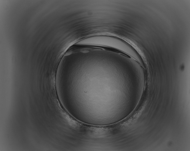 X0000095681289200801151117