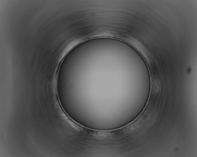 X0000095681290200801151117
