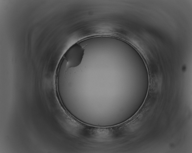 X0000095681291200801151117