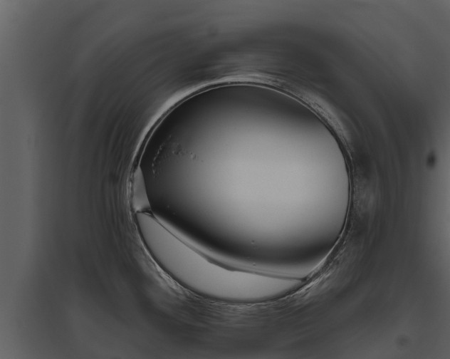 X0000095681292200801151117
