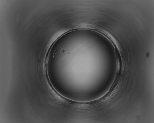 X0000095681293200801151117
