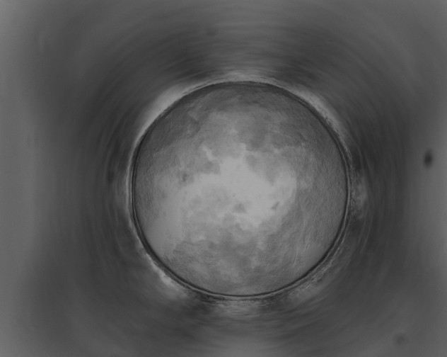 X0000095681294200801151117