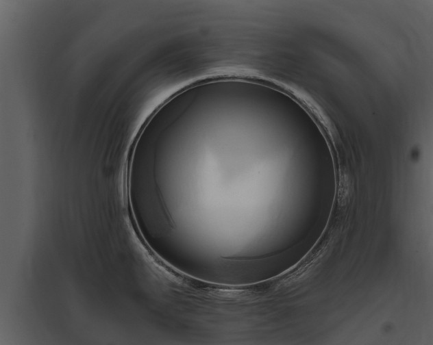 X0000095681295200801151117