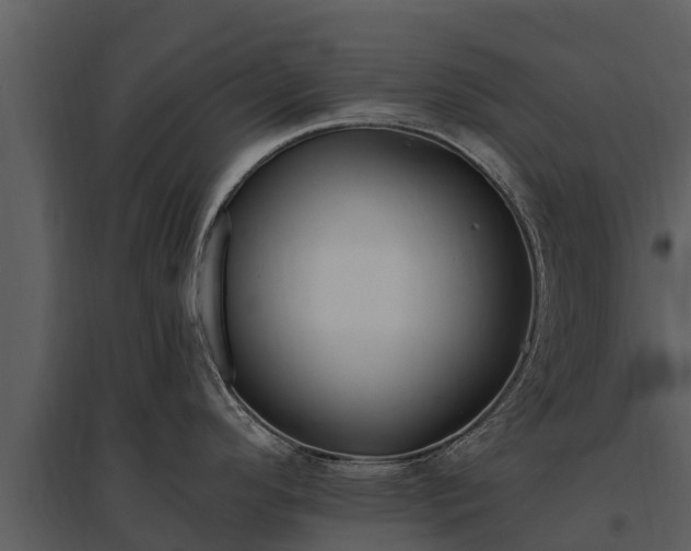 X0000095681296200801151117