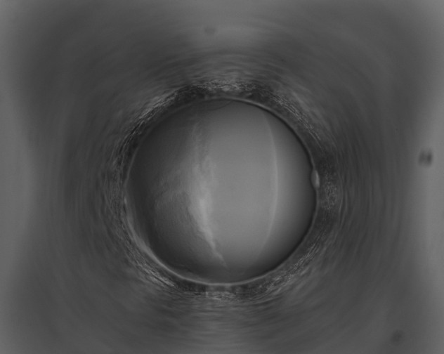 X0000095681297200801151117