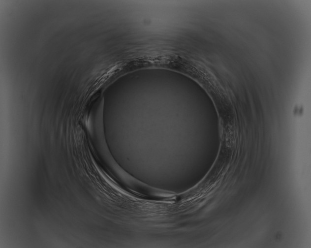X0000095681298200801151117