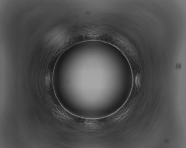 X0000095681299200801151117