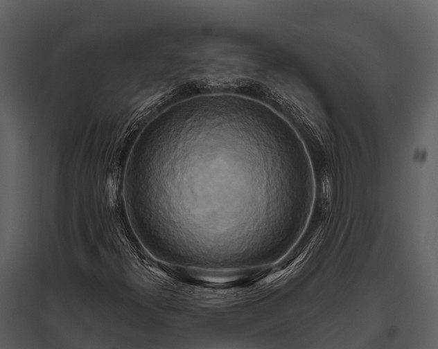 X0000095681300200801151117