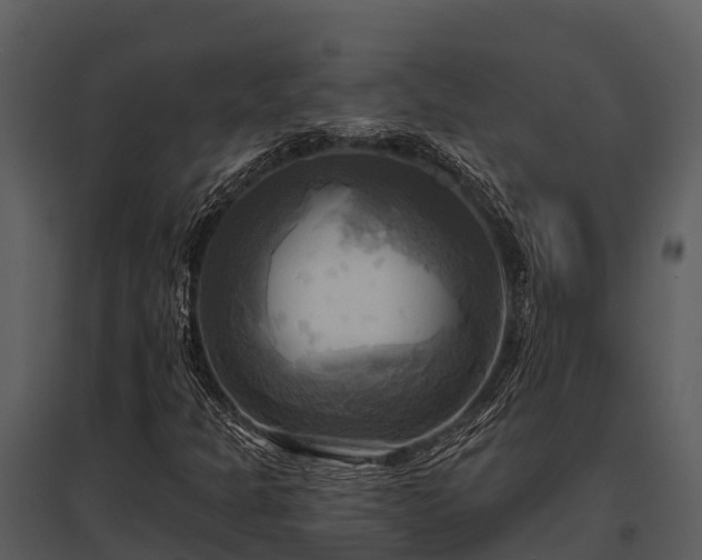 X0000095681301200801151117