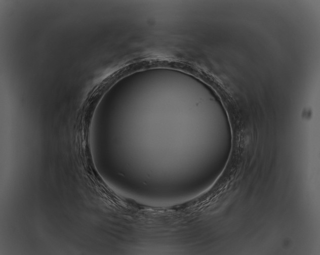 X0000095681303200801151117