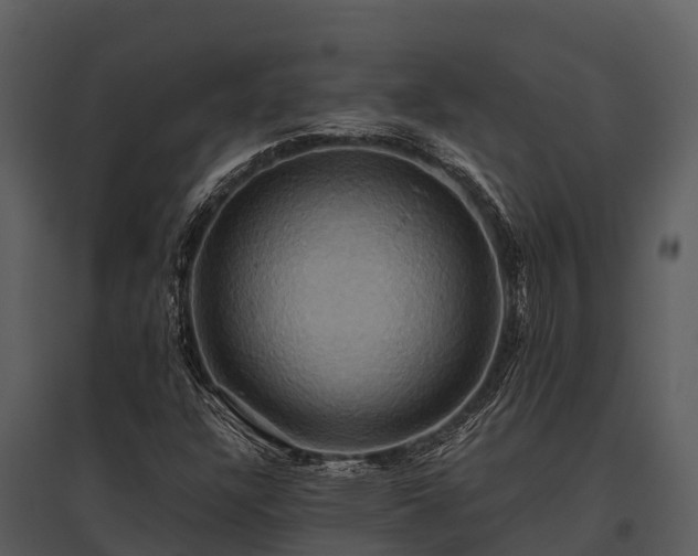 X0000095681304200801151117