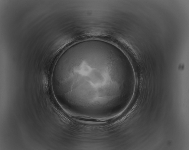 X0000095681305200801151117