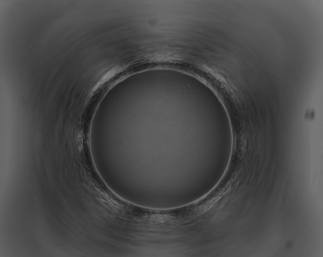 X0000095681306200801151117