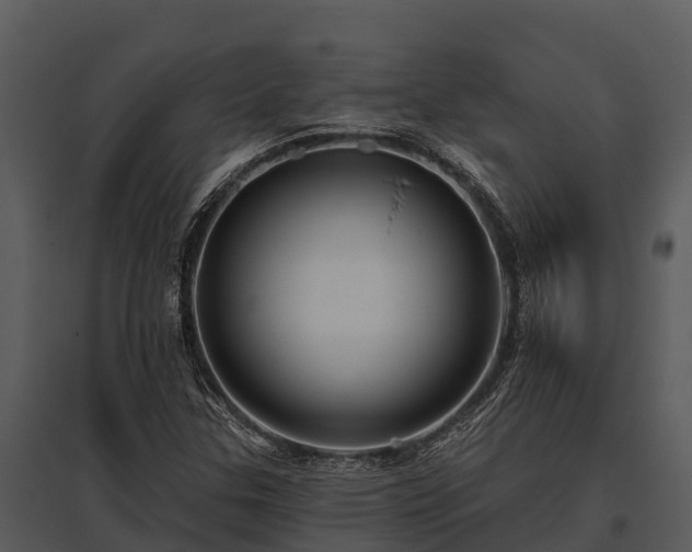 X0000095681307200801151117
