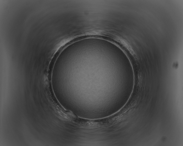 X0000095681308200801151117